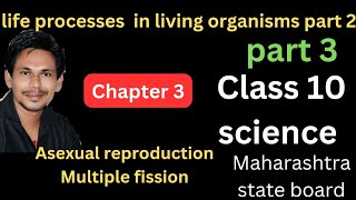 asexual reproduction multiple fission class 10 science chapter 3 life processes in living organis [upl. by Shulins126]