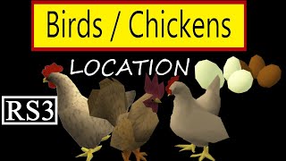 Runescape 3 BirdsChickens Location Slayer assignment rs3 [upl. by Anuaek]