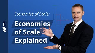 Economies of Scale Explained [upl. by Eda]