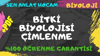 BİTKİ BİYOLOJİSİ KONU ANLATIMI 27  BİTKİDE ÇİMLENME  AYT BİYOLOJİ  ✅ [upl. by Oz]