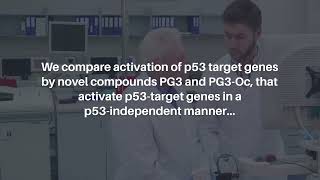 ISR Activation amp Apoptosis via HRI Kinase by PG3 and Other p53 Cancer Therapies  Oncotarget [upl. by Aihsenot]