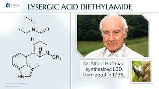 Elements of Science  Lysergic Acid Diethylamide [upl. by Livvyy556]