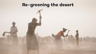 Turning the desert green in Burkina Faso [upl. by Anaira389]