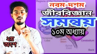 SSC Biology Chapter 10  নবমদশম জীববিজ্ঞান  দশম অধ্যায়  সমন্বয়  Biology Class 910 Chapter 10 [upl. by Tini782]