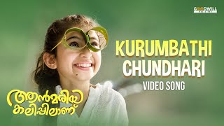 Kurumbathi Chundari Nee Video Song  Ann Maria Kalippilaanu  Vineeth Sreenivasan  Sunny Wayne [upl. by Placia]