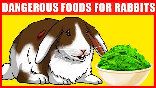 Vegetables and Fruits That Will Kill Your Rabbit [upl. by Aileno]