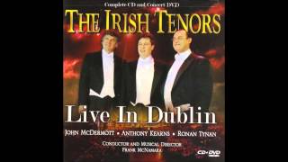 Danny boy  The Irish Tenors  Live from Dublin [upl. by Nylrac]