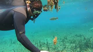 Snorkeling in Rio da Prata  Very clear freshwater river [upl. by Monto]