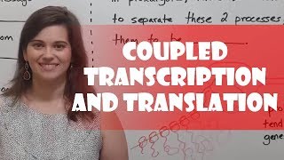 Coupled Transcription and Translation [upl. by Noble999]