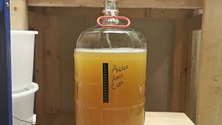 How To Make Apple Cider From Allens Apple Juice  Part 1 of 2  Wine With Me [upl. by Eihtak]