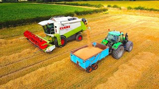 Harvesting Malting Spring Barley For Beer Production [upl. by Files116]