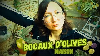 27  COMMENT FAIRE DES OLIVES EN SAUMURE MAISON  YTB27mp4 [upl. by Tarrel]