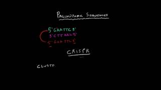 Intro to Sequences  Calculus Real Analysis [upl. by Yelkao41]