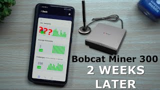 Bobcat Miner 300 HNT  Results After 2 Weeks  Helium Hotspot Miner [upl. by Alane72]