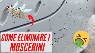 COME ELIMINARE INSETTI E MOSCERINI DAL FRONTALE DELL AUTO [upl. by Mosier818]