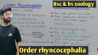 Order rhyncocephalia tuatara general characteristics and features  class reptilia class bsc amp bs [upl. by Bruns]