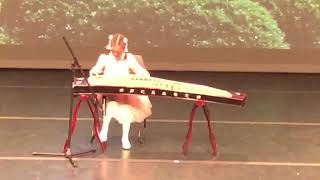 克罗地亚狂想曲古筝 Croation RhapsodyGuzheng  Chinese Zither [upl. by Brindell]