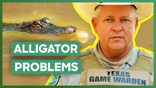 Alligator Gets STUCK In A Private Pond  Lone Star Law [upl. by Eveline872]