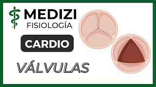 Clase 18 Fisiología Cardíaca 3  Función de las válvulas IGdoctorpaiva [upl. by Douglass]