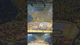 Borussia Dortmund vs FC Internazionale Milano Choreography 05112019 Signal Iduna Park [upl. by Ettenil762]