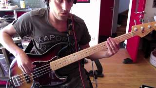 Selah Sue  This World  Bass Cover [upl. by Agnew412]