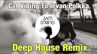 Cat Vibing To Ievan Polkka SAMString Remix [upl. by Bradlee]