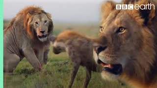 ONE HOUR of Amazing Animal Moments  BBC Earth [upl. by Enylecoj]