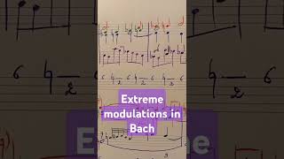 Modulations in BWV 542 bach fantasia analysis musictheory shorts modulation jsb harmony [upl. by Sregor43]