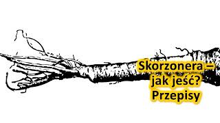 Skorzonera – jak jesc Przepisy [upl. by Heringer]