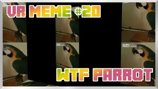 🦜WTF Parrot 1000000 Times VR meme🦜 [upl. by Katherin]