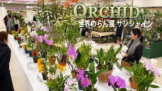 【4K HDR Orchid】 World Orchid Exhibition 2025 Sunshine サンシャインシティ世界のらん展2025 [upl. by Almeida]