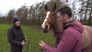 Fantastic stores about Faugheen  Ruby and Patrick Mullins go and see an old friend in retirement [upl. by Eaner]