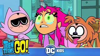 Kitties amp Doggies  Teen Titans Go  dckids [upl. by Aynatan]