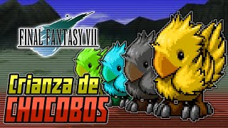 Videoguía Crianza de Chocobos  Final Fantasy VII PSX [upl. by Khalin567]