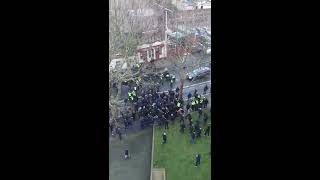 Everton vs Millwall fights [upl. by Budge]