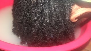 DETOX YOUR LOCS  ACV amp Baking Soda Rinse For Buildup In Locs [upl. by Nino]