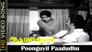 Poonguyil Paadudhu Song  Aadu Puli Aattam Movie  Kamal Haasan Sripriya  Vani Jairam  Love Songs [upl. by Singband]