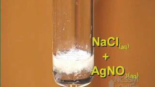 Double Displacement Reaction of AgNO3 and NaCl [upl. by Amity569]