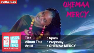 Ohemaa Mercy  Apam  Official Version Audio [upl. by Eneleh]