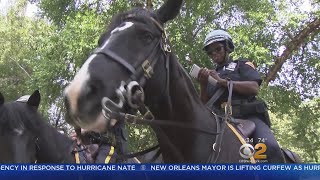 Protesters police horses square off in Cleveland [upl. by Lagasse]