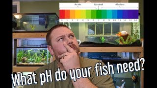 Aquarium pH  How to raise and lower pH and do you need to [upl. by Notrom]