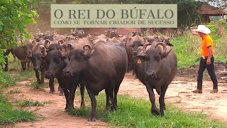 De Peão Boiadeiro a Rei dos Búfalos [upl. by Buffo]