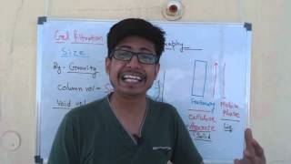 Column chromatography  gel filtration chromatography lecture [upl. by Leinod]