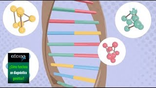 ¿Cómo funciona un diagnóstico genético [upl. by Marpet]