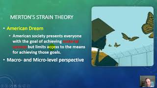 Strain Theories in Criminology [upl. by Eddina]