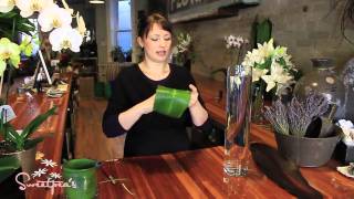 Sweetpeas  Using Cut Flowers in a Tall Glass Vase [upl. by Ness]