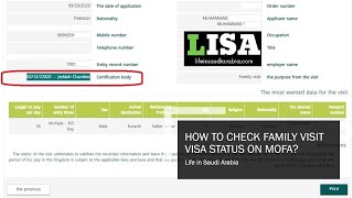 How to check Family Visit Visa status online  LISA [upl. by Aehtrod675]