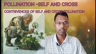 POLLINATION SELF Vs CROSSContrivances of self and cross pollination Class 12 [upl. by Winikka]