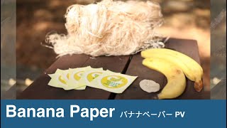 日本初フェアトレード紙 。バナナペーパー PV。ザンビアのバナナ繊維から日本で紙ができるまで！ The Banana Paper journey  our beginning in Zambia [upl. by Kciredohr]