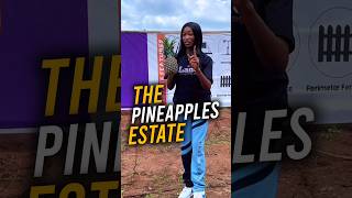 N900k Land In Lagos  THE PINEAPPLES ESTATE  Mixed Used Land For Sale In IMOTA IKORODU LAGOS [upl. by Llesram]